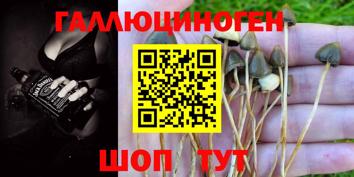 Отрадное  Галлюциногенные грибы Magic Shrooms  цены наркотик  Вход с VPN 