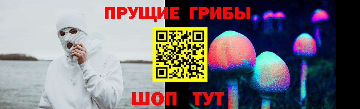 Галлюциногенные грибы Magic Shrooms Отрадное